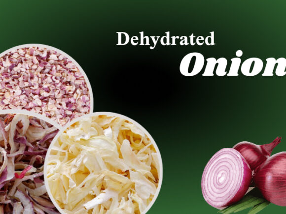 Exploring the World of Dehydrated Onion